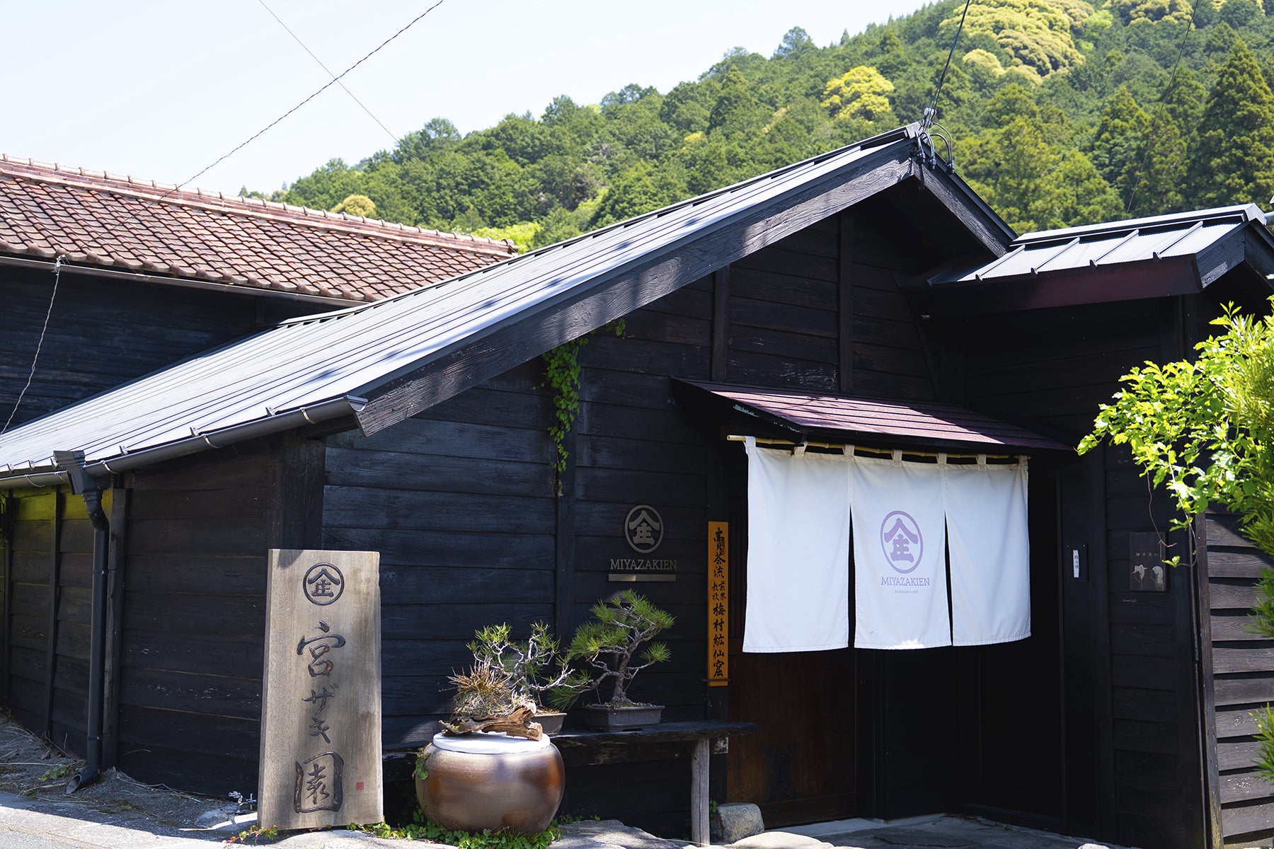 動画を読み込む: 